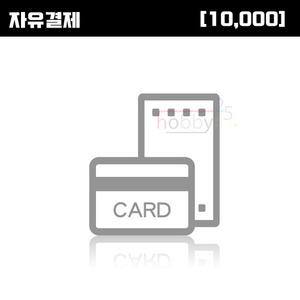 [자유결제]10,000원
