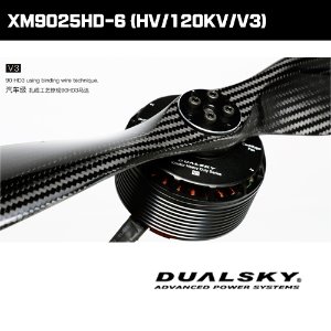 DUALSKY XM9025HD-6 [120KV]